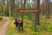 Береги Лес_v1